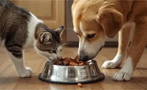 Pet Food
