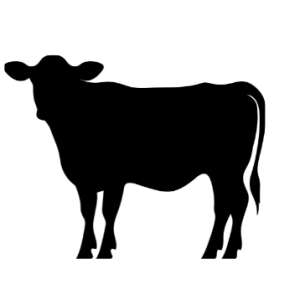 CATTLE DRENCH